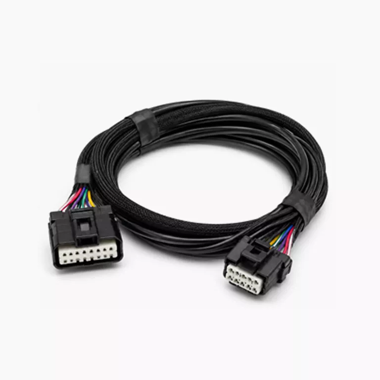 Electronic wiring harness